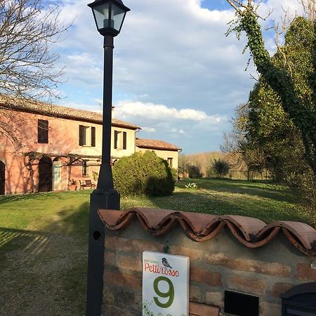 弗利 Agriturismo Il Pettirosso旅馆 外观 照片